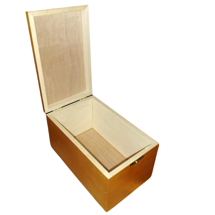 Coffin Style Cigar Box