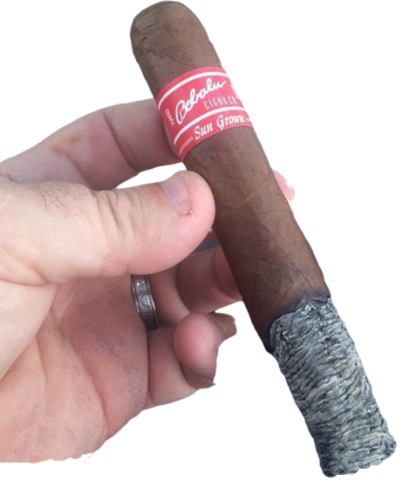 Sungrown Habano Cigar